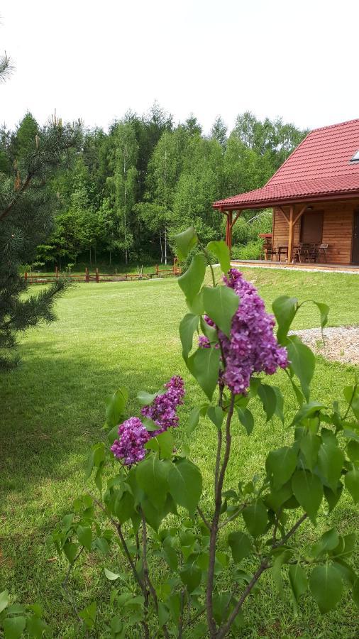 Villa Dom Nad Dolina Sanu Ruszelczyce Exterior foto