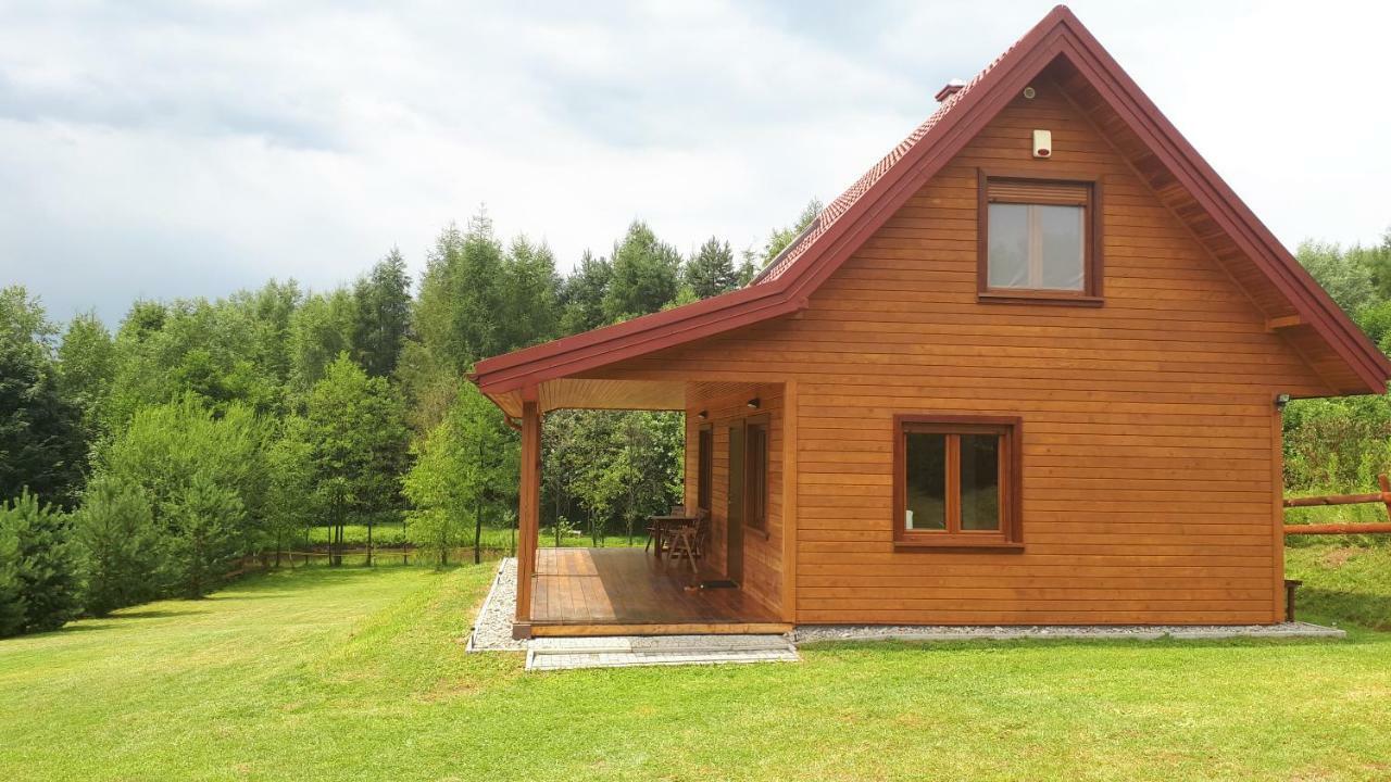 Villa Dom Nad Dolina Sanu Ruszelczyce Exterior foto